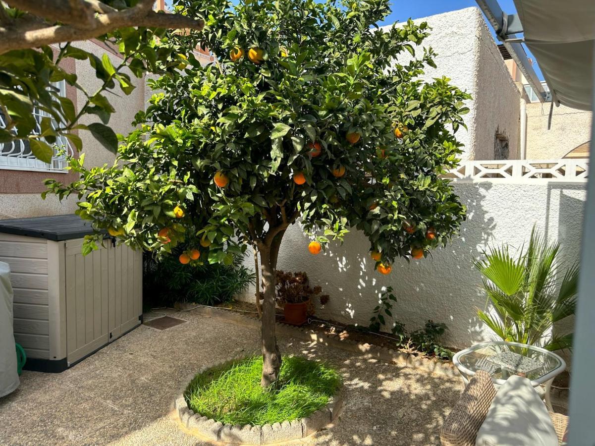 Large Villa Private Pool And Garden Near Beach روكيتاس ذي مار المظهر الخارجي الصورة